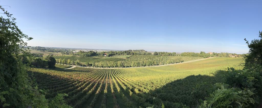 Fattoria Paradiso Bertinoro Exterior photo